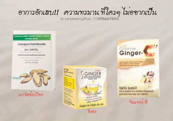 ขิง กิฟฟารีนมจินเจอร์-ซี กิฟฟารีนมขิงชง กิฟฟารีนมGiffarine Ginger-C,อาหารเสริมโรคเกาต์ กิฟฟารีน,อาหารเสริมแก้ปวด กิฟฟารีน